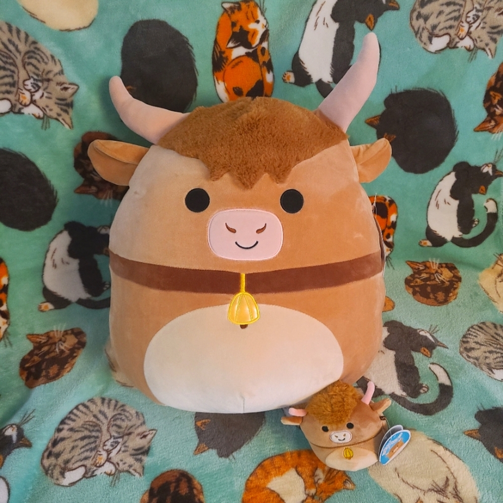 Kellytoy Squishmallow Bundle of Calton NWT